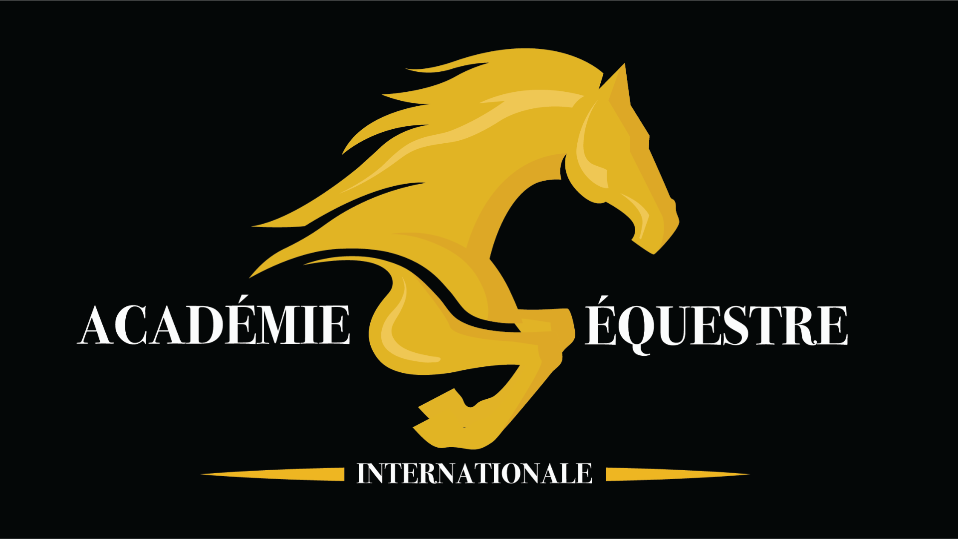 Académie Équestre Internationale